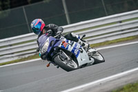 anglesey;brands-hatch;cadwell-park;croft;donington-park;enduro-digital-images;event-digital-images;eventdigitalimages;mallory;no-limits;oulton-park;peter-wileman-photography;racing-digital-images;silverstone;snetterton;trackday-digital-images;trackday-photos;vmcc-banbury-run;welsh-2-day-enduro